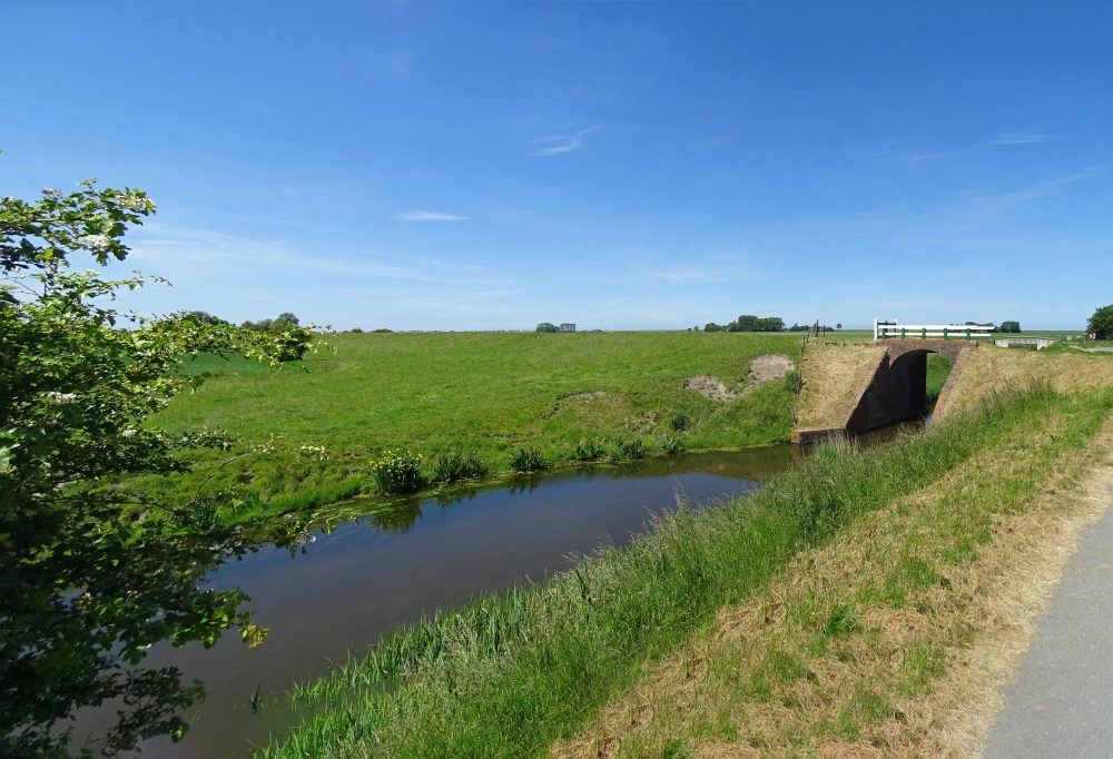 Hoogeland